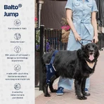 Balto Jump – ortopedyczna orteza kolana dla małych psów (lewe kolano), rozmiar S: ceny i cechy