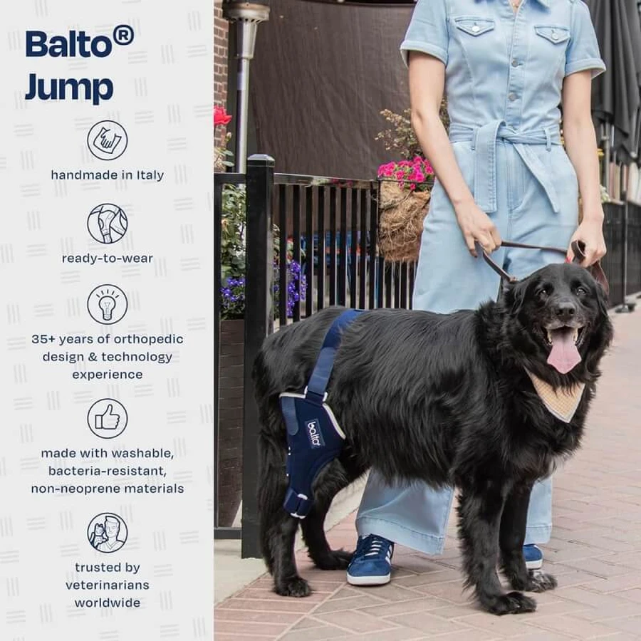Balto Jump – ortopedyczna orteza kolana dla małych psów (lewe kolano), rozmiar S: ceny i cechy
