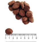 Prolife Cane Grain-Free Adult Sensitive Sole and Potatoes - Complete Dog Food for Medium to Large Dogs, 10 kg