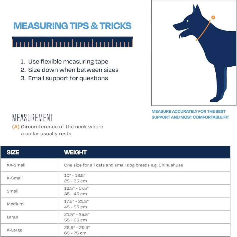 Balto Neck - Rigid Orthopedic Protective Collar for Recovery, Size XL