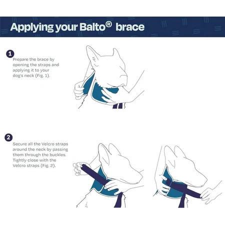 Balto Neck - Rigid Orthopedic Protective Collar for Recovery, Size XL