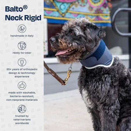 Balto Neck - Rigid Orthopedic Protective Collar for Recovery, Size XL