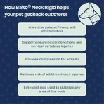 Balto Neck - Rigid Orthopedic Protective Collar for Recovery, Size XL