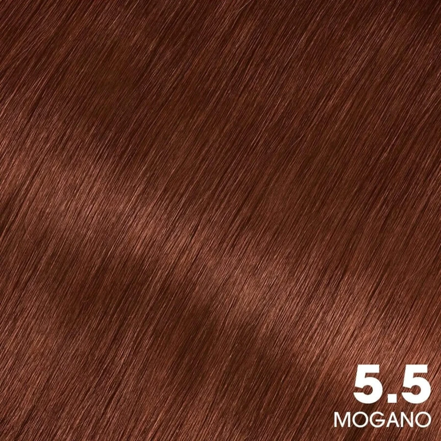 Garnier Olia - Coloration n° 5,5 Acajou