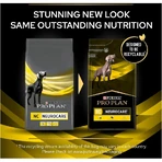Purina Pro Plan Diet Neurocare - Alimento completo para perros adultos y mayores que favorece la función cognitiva, 12 kg