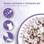 Beaphar No Stress Spot-On for Dogs: Calming, Anti-Stress Formula with Valerian, Long-Lasting Effect, 3 Pipettes