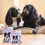 Beaphar No Stress Spot-On for Dogs: Calming, Anti-Stress Formula with Valerian, Long-Lasting Effect, 3 Pipettes