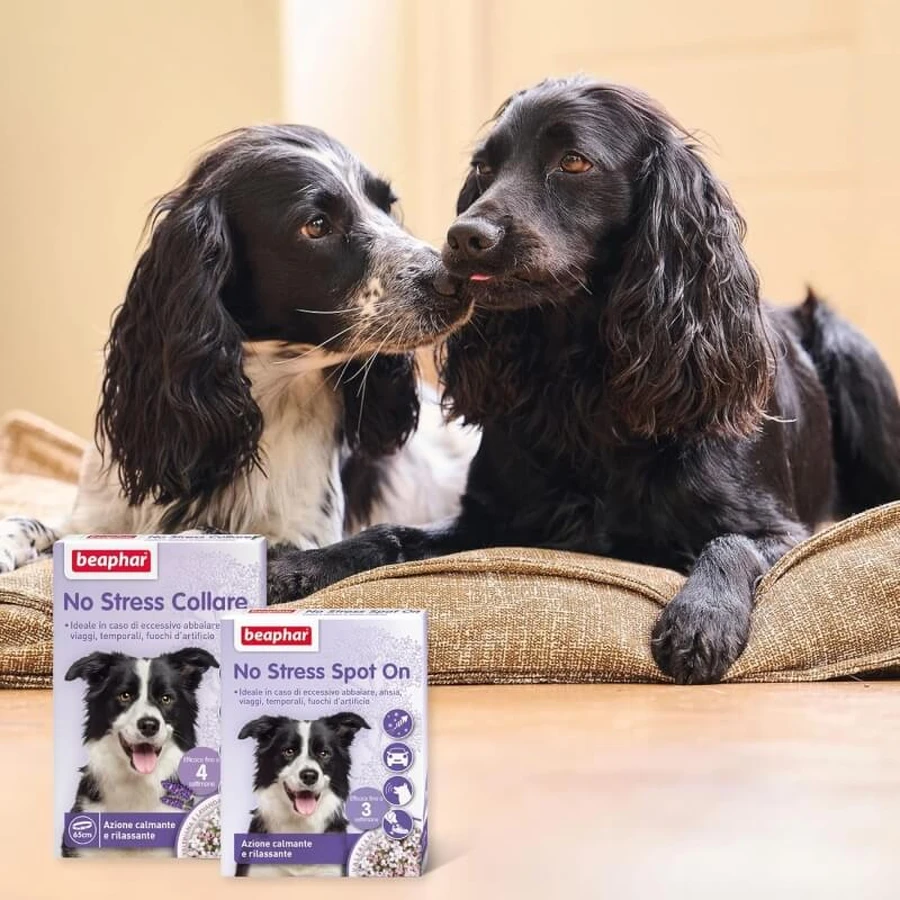 Beaphar No Stress Spot-On for Dogs: Calming, Anti-Stress Formula with Valerian, Long-Lasting Effect, 3 Pipettes