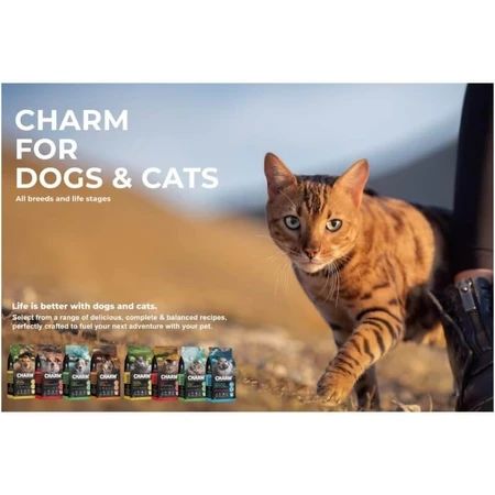 Charm Grass-Fed Beef – Trockenfutter für Katzen jeden Alters, 5,4 kg