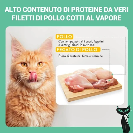 Schesir After Dark Kipreepjes in kippenbouillon – Volledig voer voor volwassen katten, 80 g
