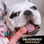 Tasty Bone Nylon Trio Bone Toy - Chicken-Flavored Chew Toy for Dogs