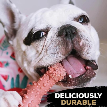 Tasty Bone Nylon Trio Bone Toy - Chicken-Flavored Chew Toy for Dogs