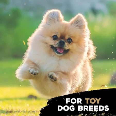 Tasty Bone Nylon Trio Bone Toy - Chicken-Flavored Chew Toy for Dogs