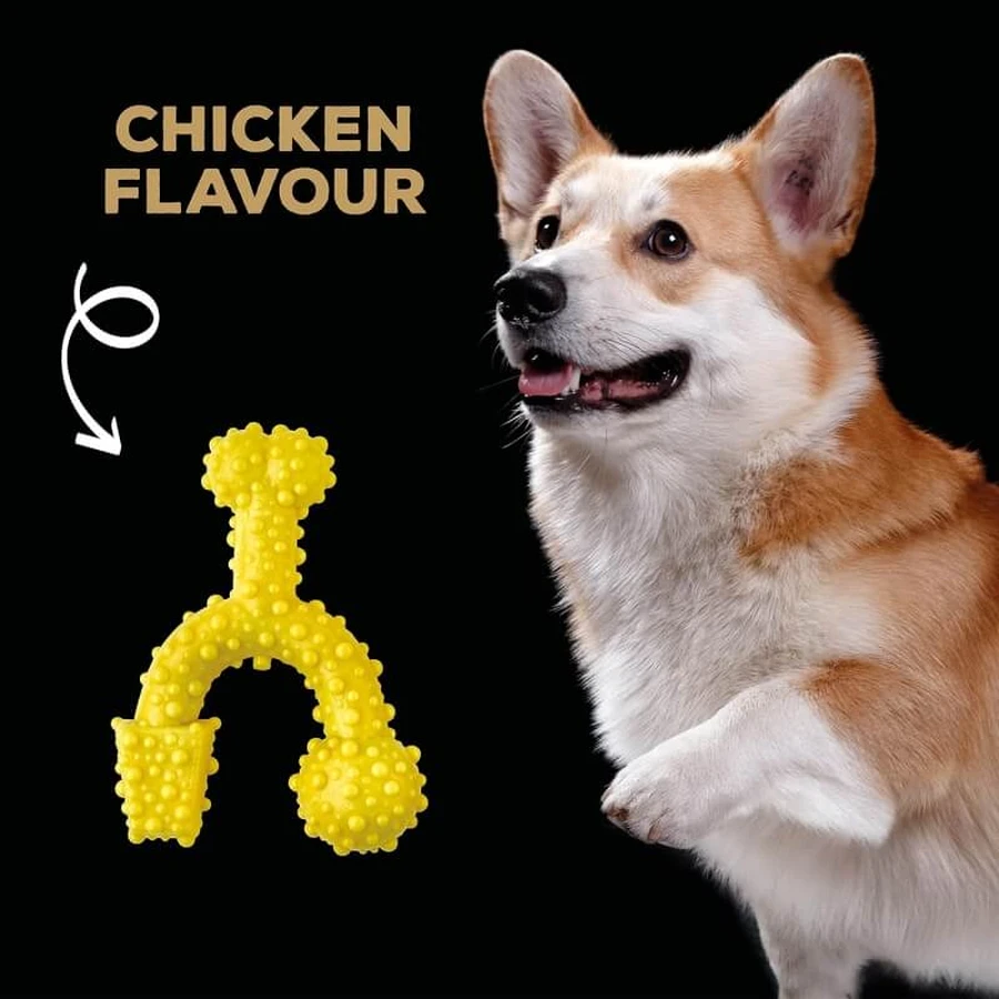 Tasty Bone Nylon Trio Bone Toy - Chicken-Flavored Chew Toy for Dogs