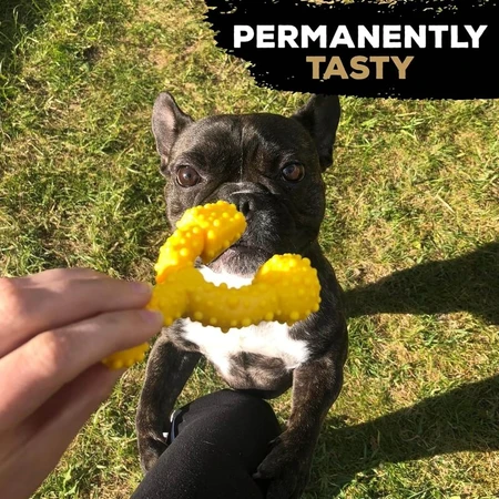 Tasty Bone Nylon Trio Bone Toy - Chicken-Flavored Chew Toy for Dogs