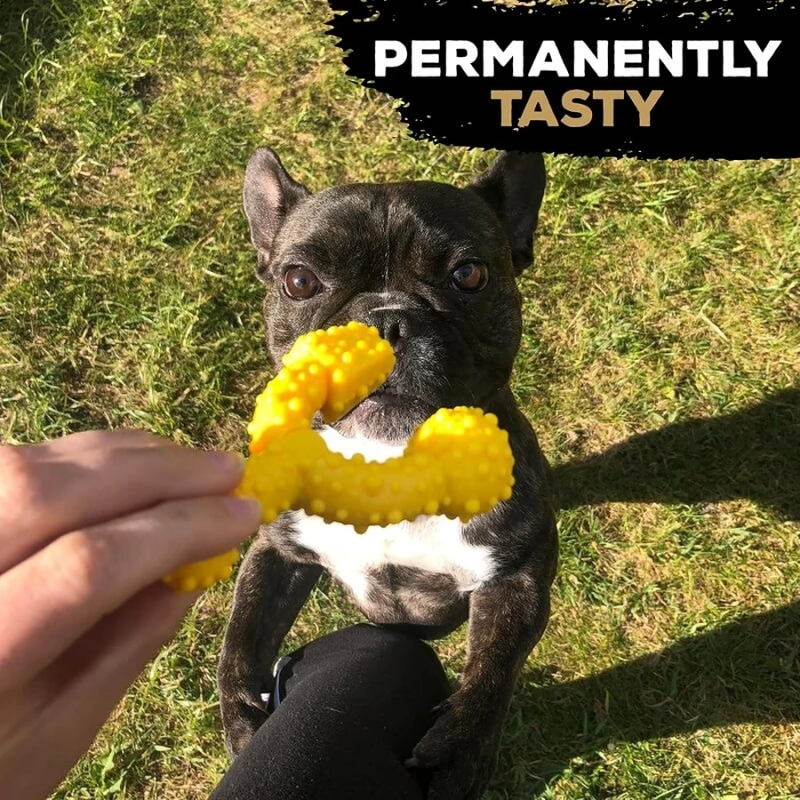 Tasty Bone Nylon Trio Bone Toy - Chicken-Flavored Chew Toy for Dogs