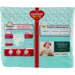Pampers Baby Dry Extra Large Pants - 32 diapers, size 6 (15+ kg)