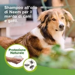 Beaphar Natural Protection - Shampooing Shield pour chiens et chats, 250 ml