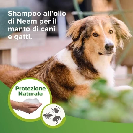 Beaphar Natural Protection - Shampooing Shield pour chiens et chats, 250 ml