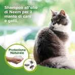 Beaphar Natural Protection - Shampooing Shield pour chiens et chats, 250 ml
