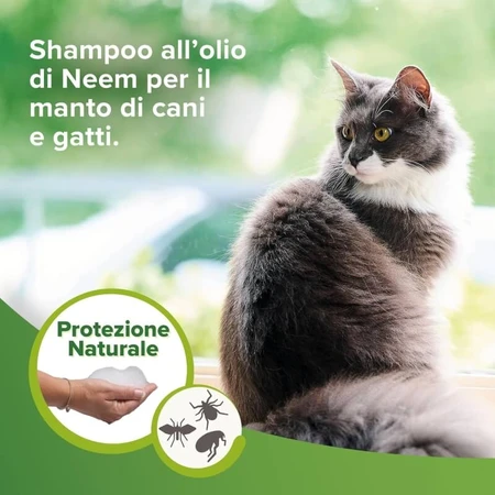 Beaphar Natural Protection - Shampooing Shield pour chiens et chats, 250 ml