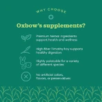 Oxbow Natural Science Joint Support - Complément alimentaire pour les articulations des petits animaux, 120 g