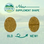 Oxbow Natural Science Joint Support - Complément alimentaire pour les articulations des petits animaux, 120 g