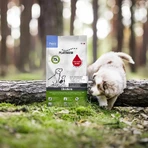 Platinum Puppy mit Huhn – Trockenfutter für Welpen, 5 kg