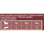 Adventuros rundvleesstrookjes - Hondensnacks, 70 g