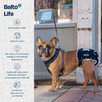 Balto Life - tutore per displasia dell'anca taglia xl
