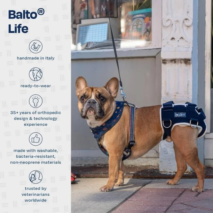 Balto Life - tutore per displasia dell'anca taglia xl