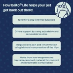 Balto Life - tutore per displasia dell'anca taglia xl