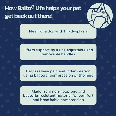 Balto Life - tutore per displasia dell'anca taglia xl