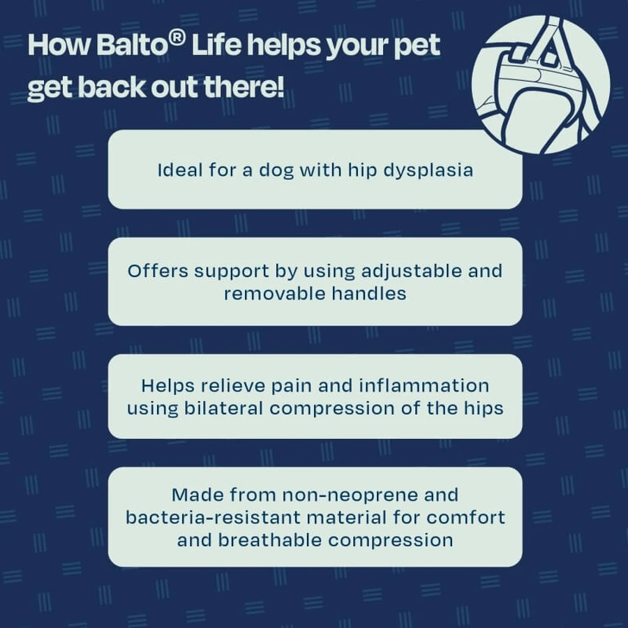 Balto Life - tutore per displasia dell'anca taglia xl