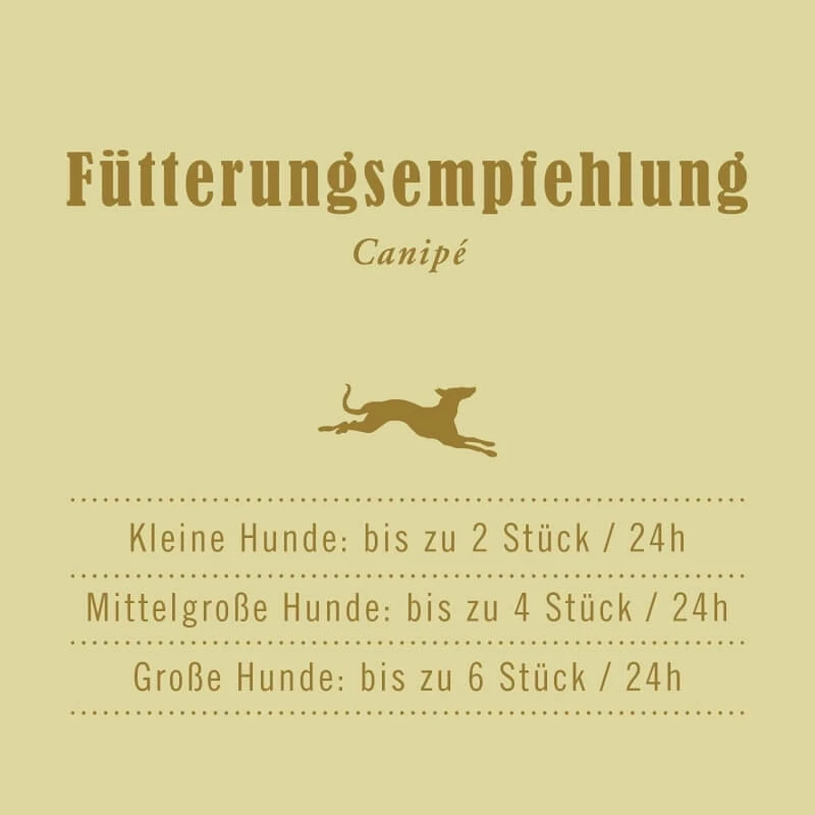 Terra Canis Canipé Truthahn – Snacks für Hunde mit Nahrungsmittelunverträglichkeiten, 200 g
