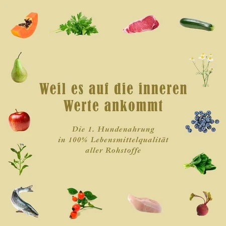 Terra Canis Canipé Truthahn – Snacks für Hunde mit Nahrungsmittelunverträglichkeiten, 200 g