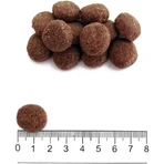 Prolife Sensitive hondenvoer voor volwassen honden met varkensvlees en rijst - Compleet voer voor volwassen honden met een gevoelige maag (kleine tot middelgrote honden), 10 kg