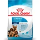 Royal Canin Maxi Starter Mother and Puppy - Alimento completo para perras gestantes y lactantes y cachorros, 15 kg