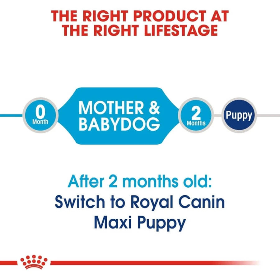 Royal Canin Maxi Starter Mother and Puppy - Compleet voer voor drachtige en zogende teven en puppy’s, 15 kg