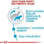 Royal Canin Maxi Starter Mother and Puppy - Compleet voer voor drachtige en zogende teven en puppy’s, 15 kg