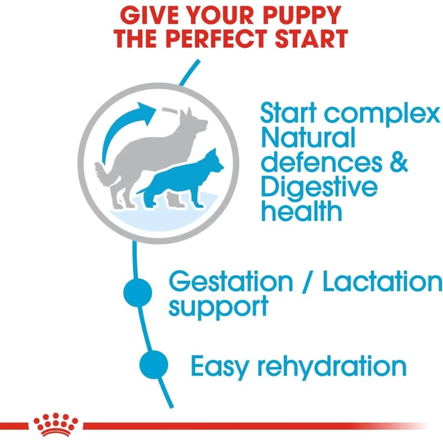 Royal Canin Maxi Starter Mother and Puppy - Compleet voer voor drachtige en zogende teven en puppy’s, 15 kg