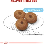 Royal Canin Maxi Starter Mother and Puppy - Compleet voer voor drachtige en zogende teven en puppy’s, 15 kg