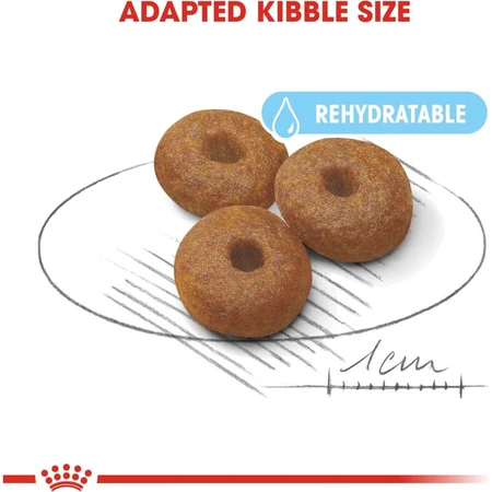 Royal Canin Maxi Starter Mother and Puppy - Compleet voer voor drachtige en zogende teven en puppy’s, 15 kg