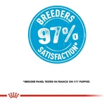 Royal Canin Maxi Starter Mother and Puppy - Compleet voer voor drachtige en zogende teven en puppy’s, 15 kg