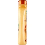 Garnier Ultra Gentle Honey Treasures - Champú para cabello dañado, 250 ml