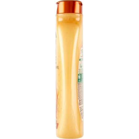 Garnier Ultra Gentle Honey Treasures - Champú para cabello dañado, 250 ml