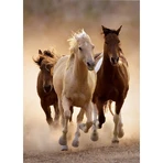 Clementoni „Running Horses“ puzzel van 1.000 stukjes voor volwassenen