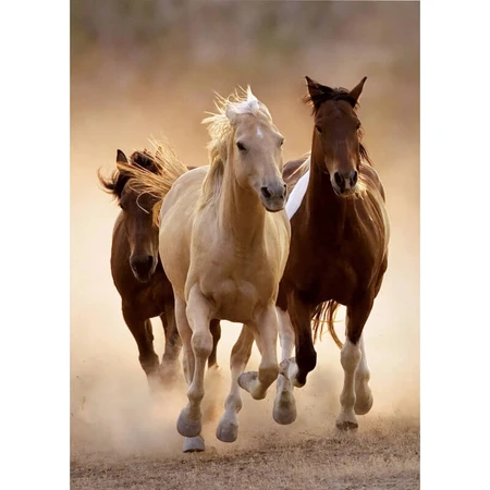 Clementoni „Running Horses“ puzzel van 1.000 stukjes voor volwassenen