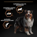 Purina Pro Plan Everyday Nutrition Medium Adult Chicken – Compleet voer voor volwassen honden van middelgroot formaat, 14 kg