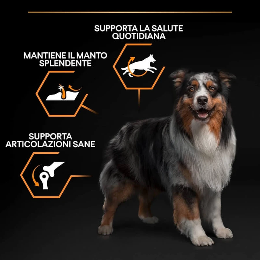 Purina Pro Plan Everyday Nutrition Medium Adult Chicken – Compleet voer voor volwassen honden van middelgroot formaat, 14 kg
